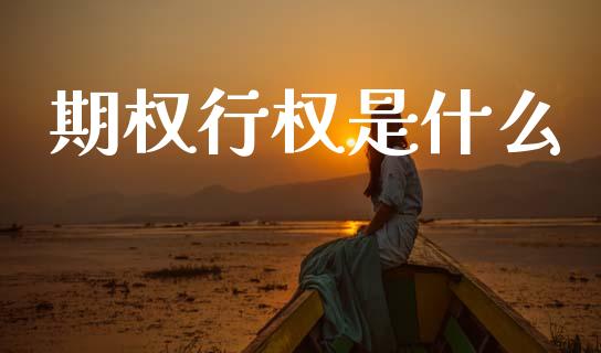 期权行权是什么_https://wap.lxcailiao.com_财务管理_第1张