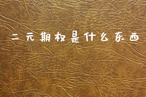 二元期权是什么东西_https://wap.lxcailiao.com_财务管理_第1张