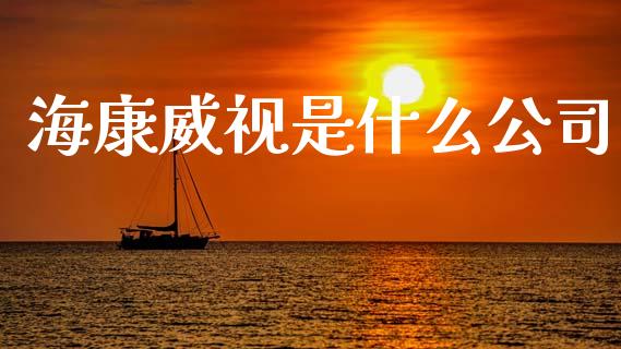 海康威视是什么公司_https://wap.lxcailiao.com_融资担保_第1张