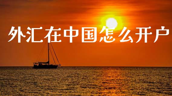 外汇在中国怎么开户_https://wap.lxcailiao.com_融资担保_第1张