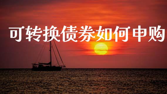 可转换债券如何申购_https://wap.lxcailiao.com_金融监管_第1张