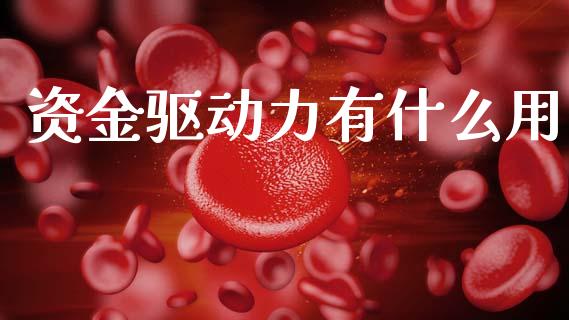 资金驱动力有什么用_https://wap.lxcailiao.com_融资担保_第1张
