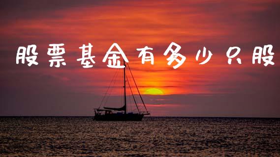股票基金有多少只股_https://wap.lxcailiao.com_股权投资_第1张