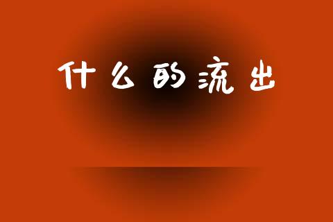 什么的流出_https://wap.lxcailiao.com_金融监管_第1张