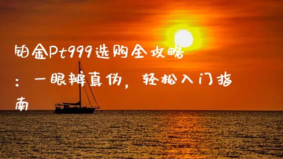 铂金Pt999选购全攻略：一眼辨真伪，轻松入门指南_https://wap.lxcailiao.com_财务管理_第1张