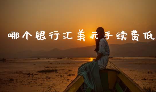 哪个银行汇美元手续费低_https://wap.lxcailiao.com_股权投资_第1张