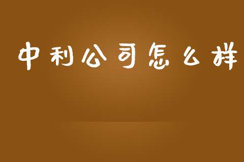 中利公司怎么样_https://wap.lxcailiao.com_股权投资_第1张