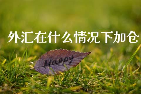 外汇在什么情况下加仓_https://wap.lxcailiao.com_融资担保_第1张