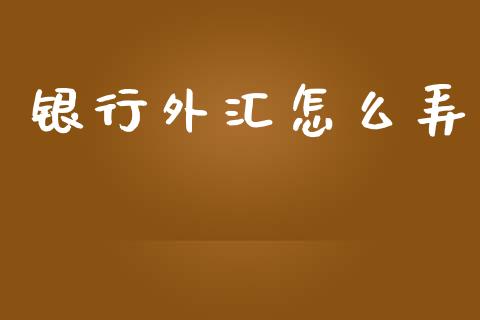 银行外汇怎么弄_https://wap.lxcailiao.com_金融监管_第1张
