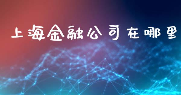 上海金融公司在哪里_https://wap.lxcailiao.com_融资担保_第1张