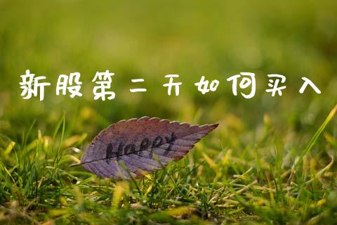新股第二天如何买入_https://wap.lxcailiao.com_财务管理_第1张