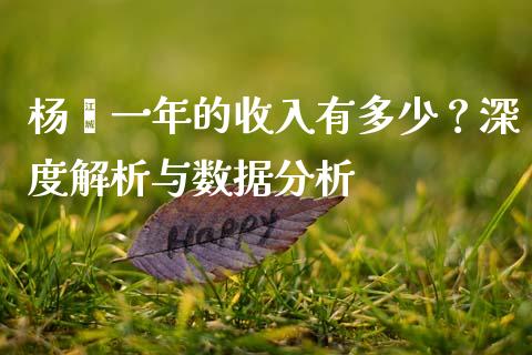 杨幂一年的收入有多少？深度解析与数据分析_https://wap.lxcailiao.com_金融监管_第1张