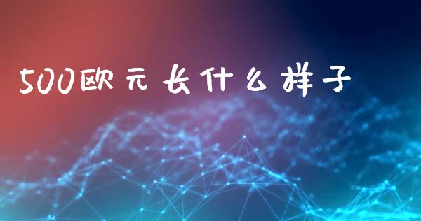 500欧元长什么样子_https://wap.lxcailiao.com_融资担保_第1张
