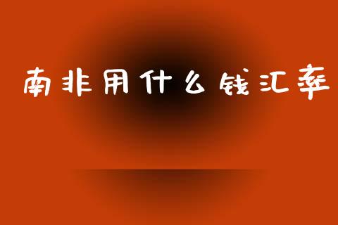 南非用什么钱汇率_https://wap.lxcailiao.com_财务管理_第1张