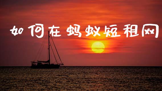 如何在蚂蚁短租网_https://wap.lxcailiao.com_股权投资_第1张