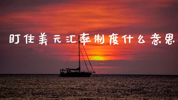 盯住美元汇率制度什么意思_https://wap.lxcailiao.com_股权投资_第1张