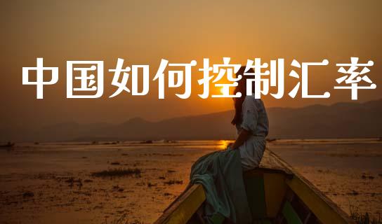 中国如何控制汇率_https://wap.lxcailiao.com_融资担保_第1张