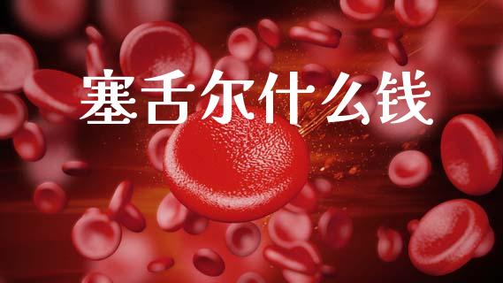 塞舌尔什么钱_https://wap.lxcailiao.com_财务管理_第1张