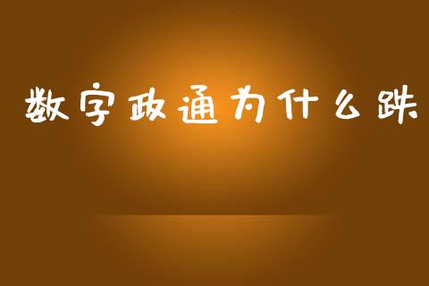 数字政通为什么跌_https://wap.lxcailiao.com_金融监管_第1张