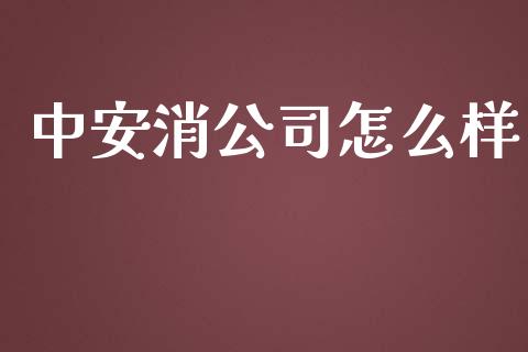 中安消公司怎么样_https://wap.lxcailiao.com_股权投资_第1张
