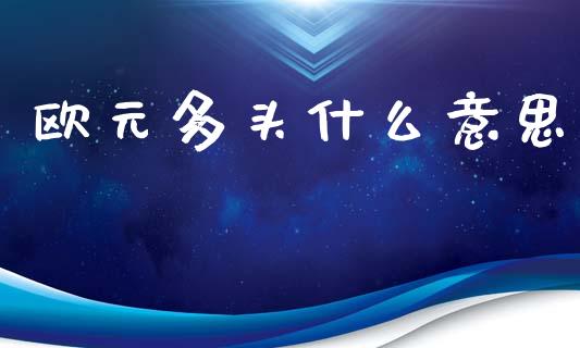 欧元多头什么意思_https://wap.lxcailiao.com_金融监管_第1张