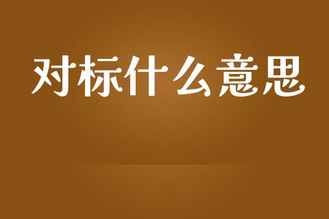 对标什么意思_https://wap.lxcailiao.com_金融监管_第1张