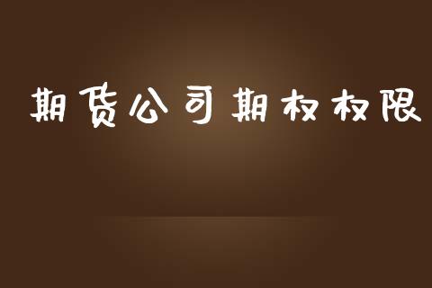 期货公司期权权限_https://wap.lxcailiao.com_融资担保_第1张
