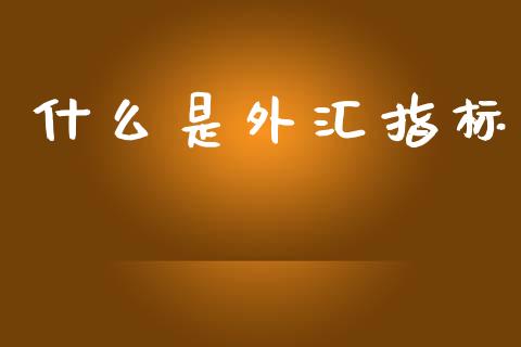 什么是外汇指标_https://wap.lxcailiao.com_股权投资_第1张