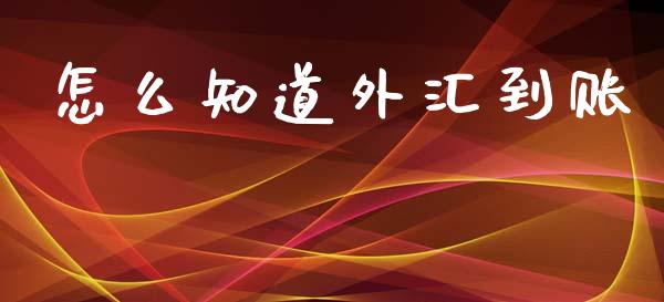 怎么知道外汇到账_https://wap.lxcailiao.com_财务管理_第1张