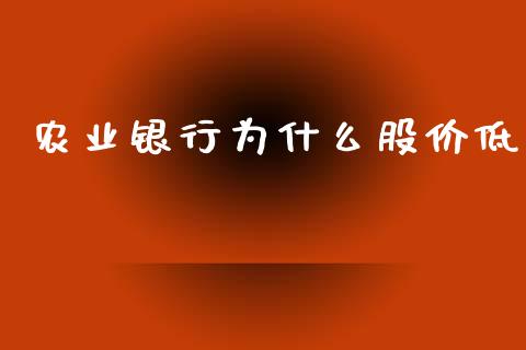 农业银行为什么股价低_https://wap.lxcailiao.com_融资担保_第1张