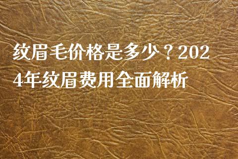 纹眉毛价格是多少？2024年纹眉费用全面解析_https://wap.lxcailiao.com_股权投资_第1张