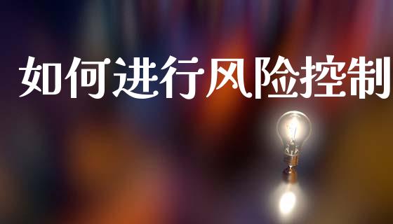 如何进行风险控制_https://wap.lxcailiao.com_财务管理_第1张