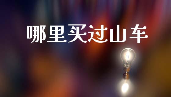 哪里买过山车_https://wap.lxcailiao.com_融资担保_第1张