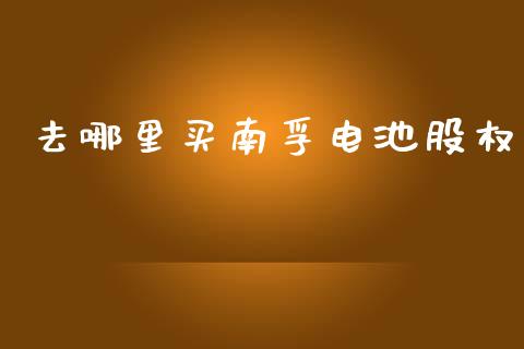 去哪里买南孚电池股权_https://wap.lxcailiao.com_融资担保_第1张
