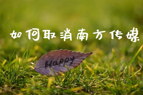 如何取消南方传媒_https://wap.lxcailiao.com_融资担保_第1张
