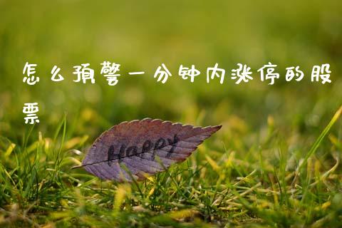怎么预警一分钟内涨停的股票_https://wap.lxcailiao.com_财务管理_第1张