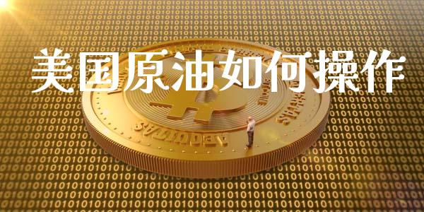 美国原油如何操作_https://wap.lxcailiao.com_融资担保_第1张