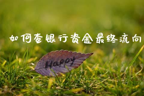 如何查银行资金最终流向_https://wap.lxcailiao.com_股权投资_第1张