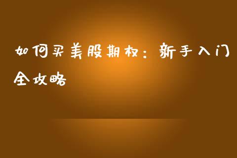 如何买美股期权:新手入门全攻略_财务管理_第1张_金融监管_融资担保_财务管理_股权投资 如何买美股期权:新手入门全攻略_https://wap.lxcailiao.com_财务管理_第1张