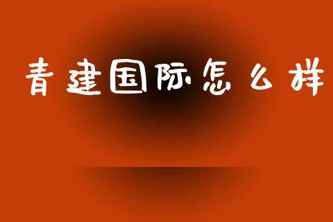青建国际怎么样_金融监管_第1张_金融监管_融资担保_财务管理_股权投资 青建国际怎么样_https://wap.lxcailiao.com_金融监管_第1张