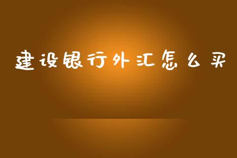 建设银行外汇怎么买_https://wap.lxcailiao.com_股权投资_第1张