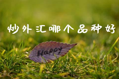炒外汇哪个品种好_https://wap.lxcailiao.com_融资担保_第1张
