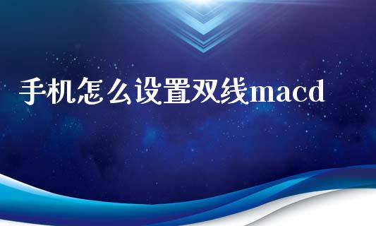 手机怎么设置双线macd_https://wap.lxcailiao.com_财务管理_第1张