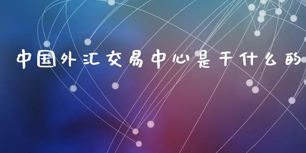 中国外汇交易中心是干什么的_https://wap.lxcailiao.com_金融监管_第1张