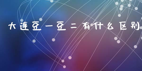 大连豆一豆二有什么区别_https://wap.lxcailiao.com_金融监管_第1张
