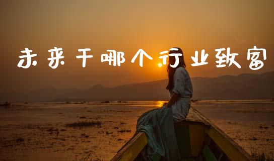 未来干哪个行业致富_https://wap.lxcailiao.com_融资担保_第1张