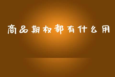 商品期权都有什么用_https://wap.lxcailiao.com_财务管理_第1张