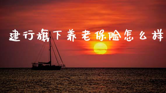 建行旗下养老保险怎么样_https://wap.lxcailiao.com_财务管理_第1张