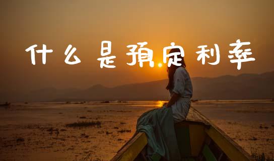 什么是预定利率_https://wap.lxcailiao.com_融资担保_第1张