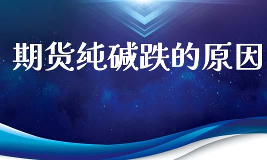 期货纯碱跌的原因_https://wap.lxcailiao.com_财务管理_第1张